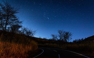 Güzel gece gökyüzü Ağaçlar ve yıldızlarla