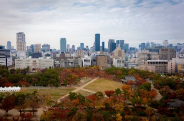 Tokyo, Japonya - 19 Aralık, 2019: Tokyo şehri sonbahar sezonunda parkla birlikte..