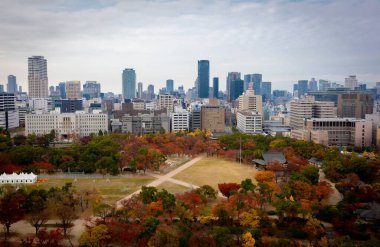 New York şehrinin sonbahar manzarası