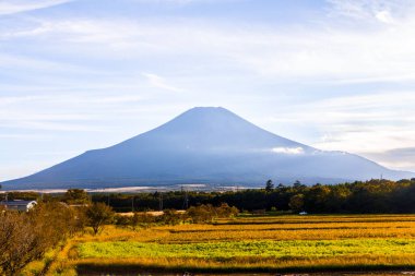 Japonya 'da Fuji Dağı ve akçaağaç yapraklı güzel bir manzara.