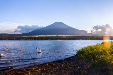 Güzel göl manzarası