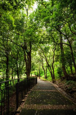 Şehrin en güzel parkı.