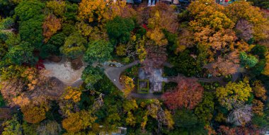 Parktaki güzel sonbahar ormanının hava manzarası.