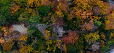 Ağaçların ve yaprakların güzel sonbahar manzarası, doğa.