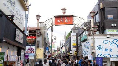 Tokyo, Japonya - 27 Aralık 219: İnsanlar ünlü ginkji bölgesini ziyaret ediyor. Tokyo en büyüğü ve en büyüğü.
