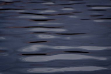 Su bir nehrin yüzeyine yansıyarak düşer.