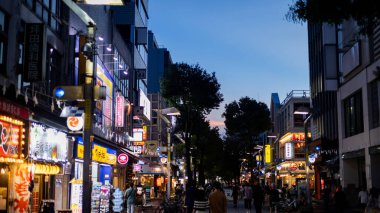 Tokyo, Japonya - Kasım 13, 2016: Gece Sokağı Tokyo, Japonya 'da. Tokyo sokağı popüler bir Japon turizm merkezidir.