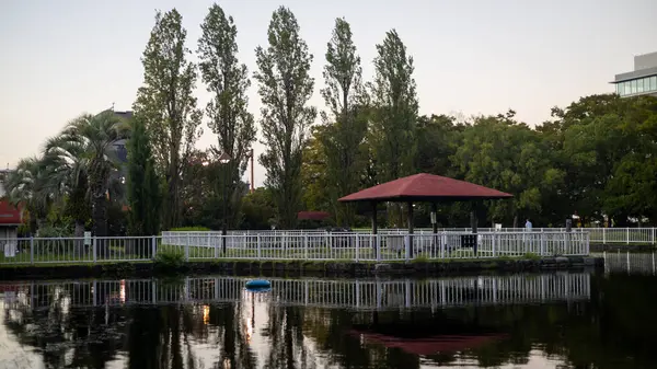 Sabahları parkın manzarası.