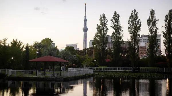 Tokyo, Japonya - Kasım 19, 2018: Tokyo şehri, Japonya