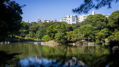 Parkın güzel manzarası