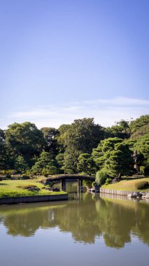 Havuzu ve ağaçları olan güzel Japon bahçesi.