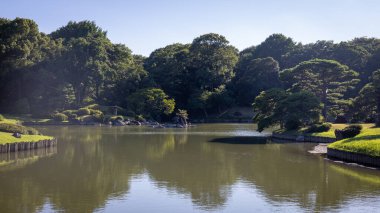 Tokyo, Japonya - Haziran 31, 2 0 2: Güzel bir göl manzarası ve parktaki ağaçlar.