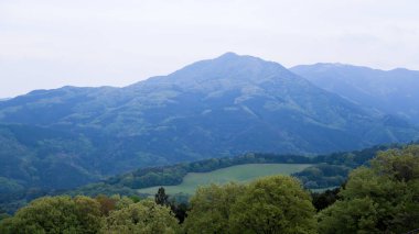 Ağaçlı ve ormanlı güzel dağ manzarası