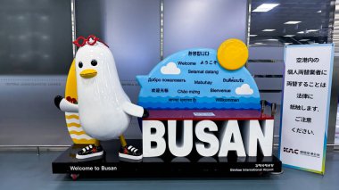 Havaalanının arka planında oyuncak ayısı olan bir kız modeli.