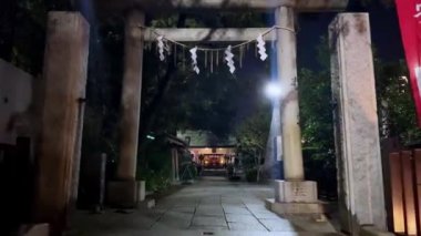 Japon şehrinin gece manzarası.