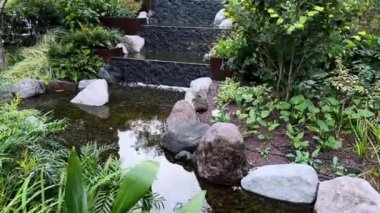 Gölün güzel bahçesi. Çeşme.