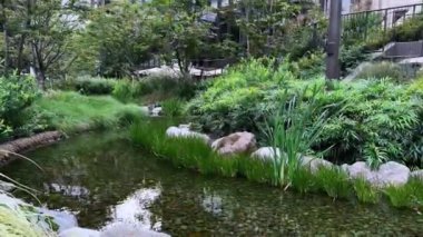 Nehirli güzel bir manzara