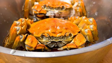 Bir kase içinde Yengeç