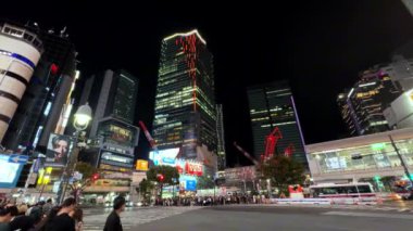 Tokyo - 11 Aralık - Injuku bölgesinde gece görüşü, Tokyo, Japonya