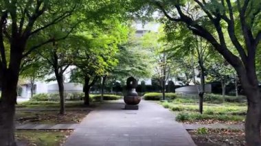 Parkın güzel manzarası