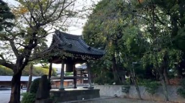 Japonya 'daki Japon bahçesi.