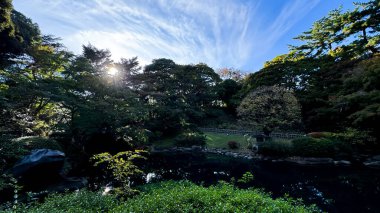 Kyoto 'daki Japon bahçesi.