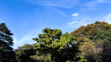 Parkın güzel manzarası