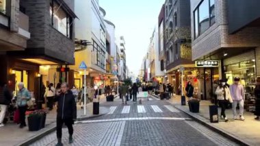 Tokyo, Japonya - Kasım 15, 2018: yayalar Shibuya caddesinde yürüyor, Tokyo, Japonya büyük bir turistik ilgi odağı.