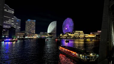 Tokyo Skyline geceleri, Japonya