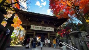 Kyoto, Japonya 'daki güzel Çin tapınağı.