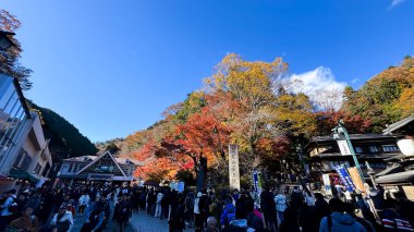 Kyoto, Japonya - 12 Kasım, 2016: İnsanlar Kyoto, Japonya 'da sonbaharın tadını çıkarıyorlar. Evet.
