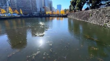 Barselona şehrinin manzarası