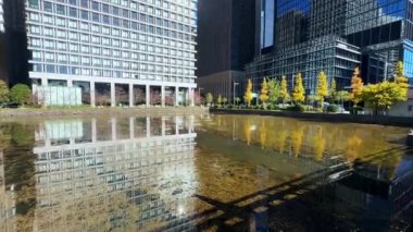 Parktaki modern şehir binaları