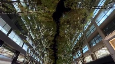 Barselona şehrinin manzarası