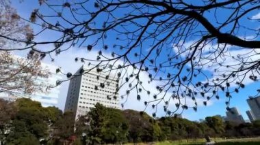 Barselona şehrinin manzarası