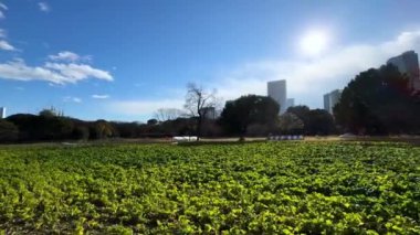Şehrin en güzel parkı.