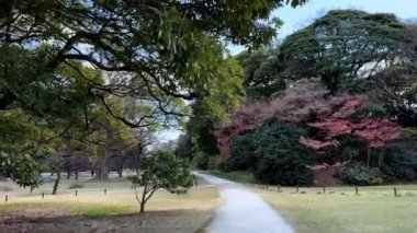 Parkın güzel manzarası