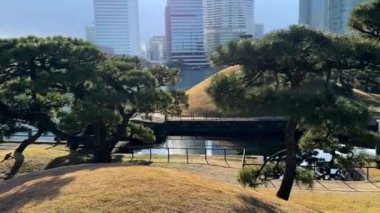 İsrail eyaletinin kuzeyindeki parkın kenti.