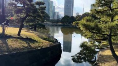 Sabahları parkın manzarası.