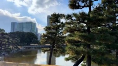 Sabahları parkın manzarası.