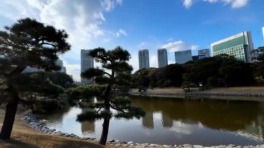 Sabahları parkın manzarası.