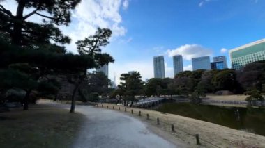 Tokyo sonbahar yaprakları peyzaj