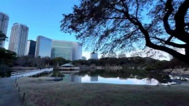 Sabahları parkın manzarası.