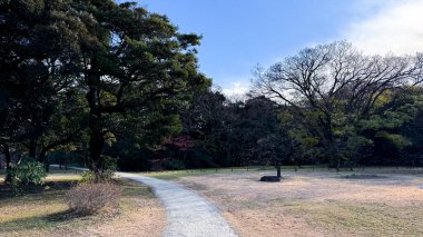 Parkın güzel manzarası