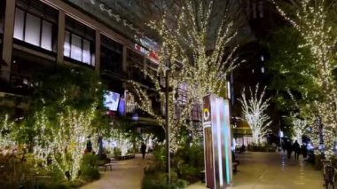 Yeni yılın şehri.