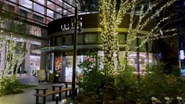 Geceleyin yılbaşı ağacı