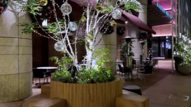 Geceleyin Noel ağacı süslemesi