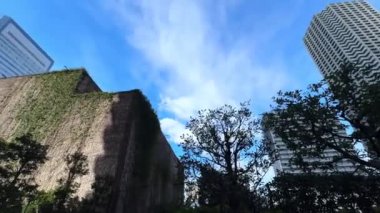 Gökdelenleri ve yeşil santralleri olan modern bina