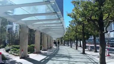 Hollanda'da modern şehir