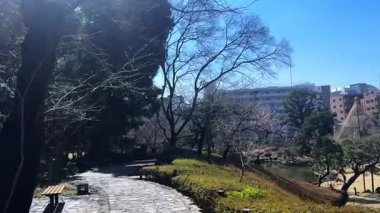 Parkın güzel manzarası